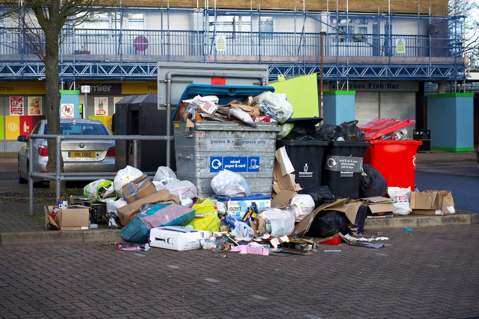 Roman Road quick rubbish collection options near Bethnal Green